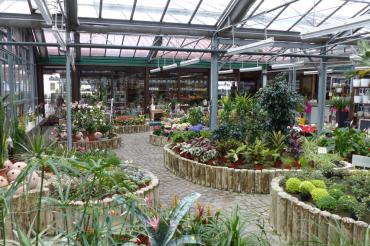 Der Blumenmarkt Unger in Wemding. 