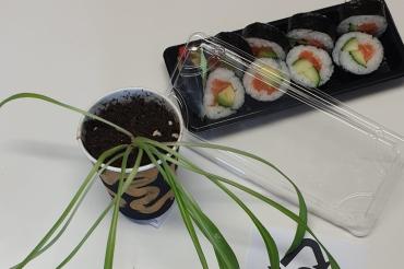 Plants-to-go im alten Kaffeebecher und individuelle Anhänger aus altem Plastik – Einmalverpackungen müssen nicht im Müll landen, weiß Jugendsozialarbeiterin Nina Thorwart. 