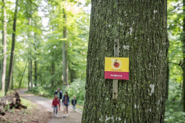 Wandern auf dem Schäferweg im Geopark Ries. 