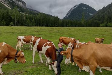 Auf dem Bild zu sehen Franziska Gerstmeier inmitten von Kühen.