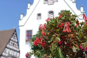 Rathaus Marktplatz Stadt Wemding
