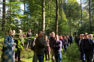 Das Bild zeigt die Mitglieder des Stadtrates und Forstfachleute beim Waldbegang.