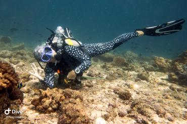 Auf dem Bild sieht man Jutta bäcker beim tauchen.