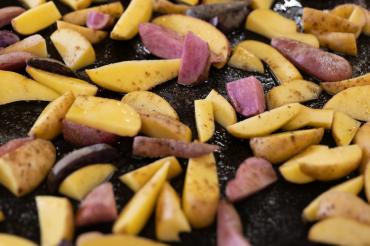 Herbsterlebnistag in Maihingen