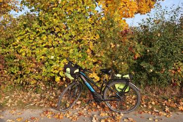 Auf dem Bild sieht man ein Fahrrad mit einem schönen Herbstlichen Hintergrund.