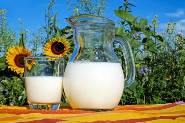 Milch in Glas und in Glaskaraffe, dahinter Sonnenblumen