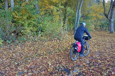 Radfahren fährt im Herbst, Blätter auf dem Weg