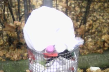 Aktuell werden vermehrt illegale Müllablagerungen im Stadtgebiet festgestellt. 