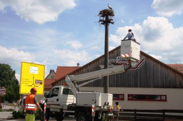 Das Bild zeigt den Hubsteiger der N-ERGIE Netz GmbH im Einsatz für Oettinger Störche.