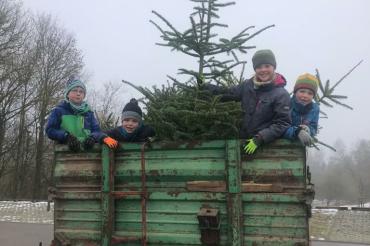 Das Bild zeigt die Christbaumsammelaktion für den Kaisheimer Kindergarten