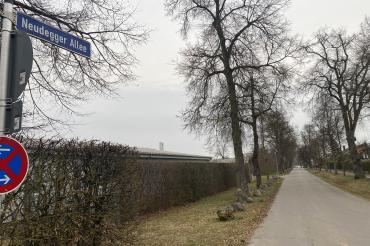 Die Neudegger Allee in Donauwörth.