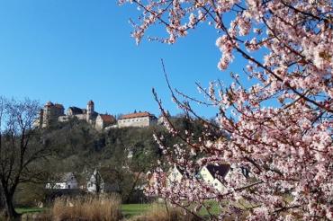 Das Bild zeigt Schloss Harburg