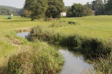 Das angehängte Bild zeigt die Landschaft an der Schwalb. 