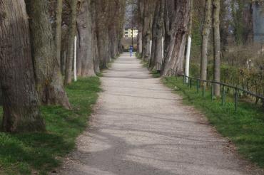 Zu sehen ist der Bäumlesgraben in Nördlingen.