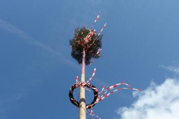 Maibaum