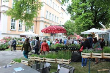 Rosenmarkt 2019.
