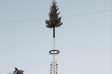 Maibaum Donauwörth