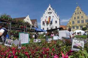Das Bild zeigt den Fuchsienmarkt in Wemding.