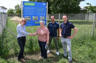 Das Bild zeigt : (v.l.n.r.) Karin Frank (LEW), Bürgermeisterin Anita Ferber, Andreas Hurler (LEW) und Matthias Fink (LEW) freuen sich über die gelungene Umsetzung des Insektenhabitats. Gekennzeichnet ist das Areal durch eine Infotafel.