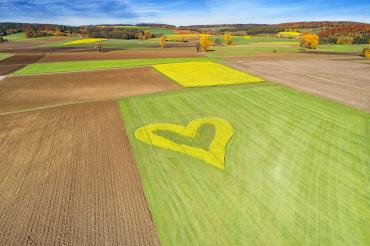 Herz in einem Feld. 