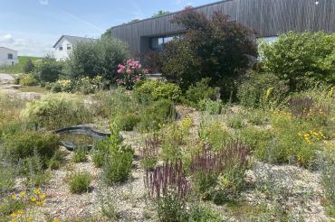 Staudenbeet Blossenau