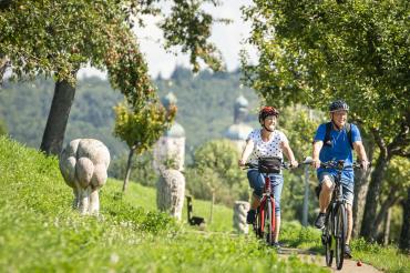 Zu sehen sind zwei Fahrradfahrer in der Natur. 