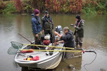 Das Bild zeigt die Befischung der Donau.