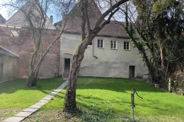 Am 25. und 26. Juni finden die CID Gesundheits- und Bewegungstage statt- mit neuen Projektleitern, neuem Konzept und neuer Location. 