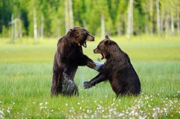 Fotowettbewerb Oettingen 