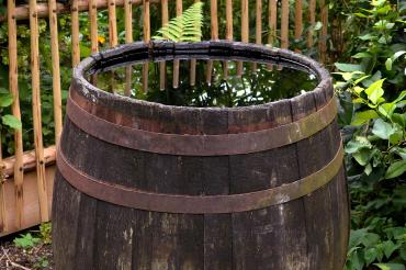 Das Bild zeigt ein Regenfass.