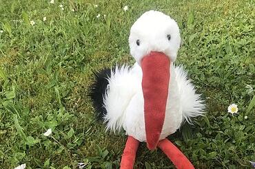 Das Bild zeigt den Storch Ottilie.