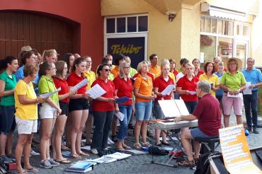 Das Foto zeigt den Auftritt von Sing@Life 2019.