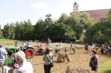 Das Bild zeigt das Schnitterfest 2019