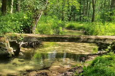 Historischer Bettelsteg im Schwalbtal