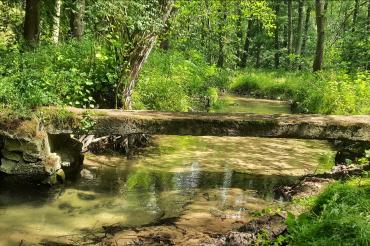 Historischer Bettelsteg im Schwalbtal.