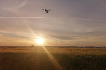 Drohnenflug in den Pfäfflinger Wiesen