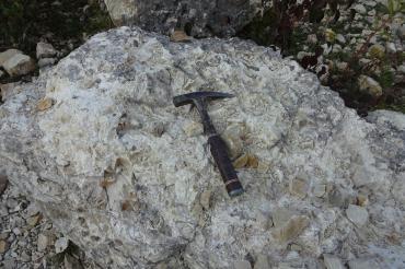 Das Bild zeigt eine Jurakalke im „Lindle“.