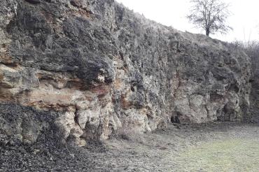 Ries-See-Kalke am Burschel