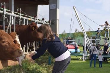 Bild vom letzten Herbstfest