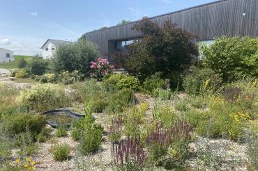 OGV Tagmersheim-Blossenau 