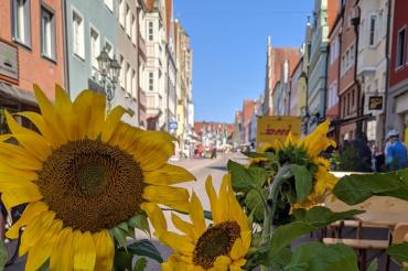 Bild aus der Reichsstraße.