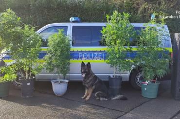 Durchsuchung KPI Dillingen