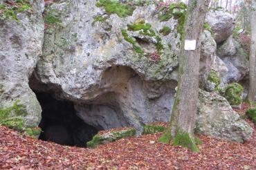 Hohlensteinhöhle im Stiftungswald Nördlingen