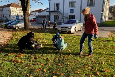 Frühjahresblüten für Oettingen