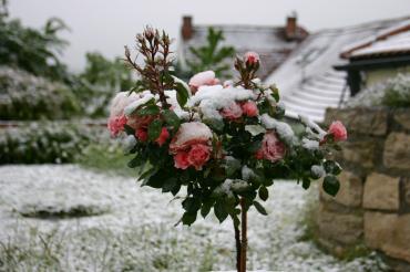 Start in den Winter.