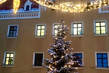 Christbaum der Stadt Donauwörth 2022.