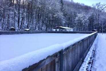 im Bild ist der Eisplatz in Wemding zu sehen