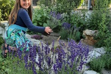 In diesem Monheimer Garten entsteht ein Staudenbeet für hungrige Insekten. 