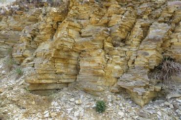 Auf dem Geotoplehrpfad Daiting die Plattenkalke erlebt werden