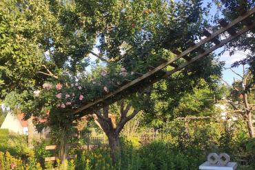 Der Garten in Möttingen ist seit 2022 als Naturgarten ausgezeichnet.